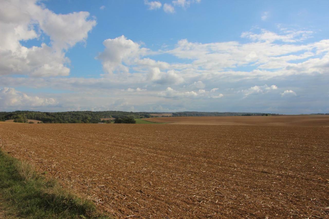 Joie De Vivre Bed & Breakfast Doulevant-le-Chateau Luaran gambar
